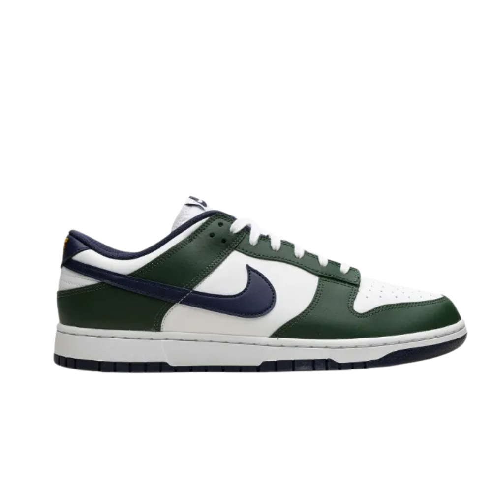 Nike Dunk Low Retro Men's Shoes